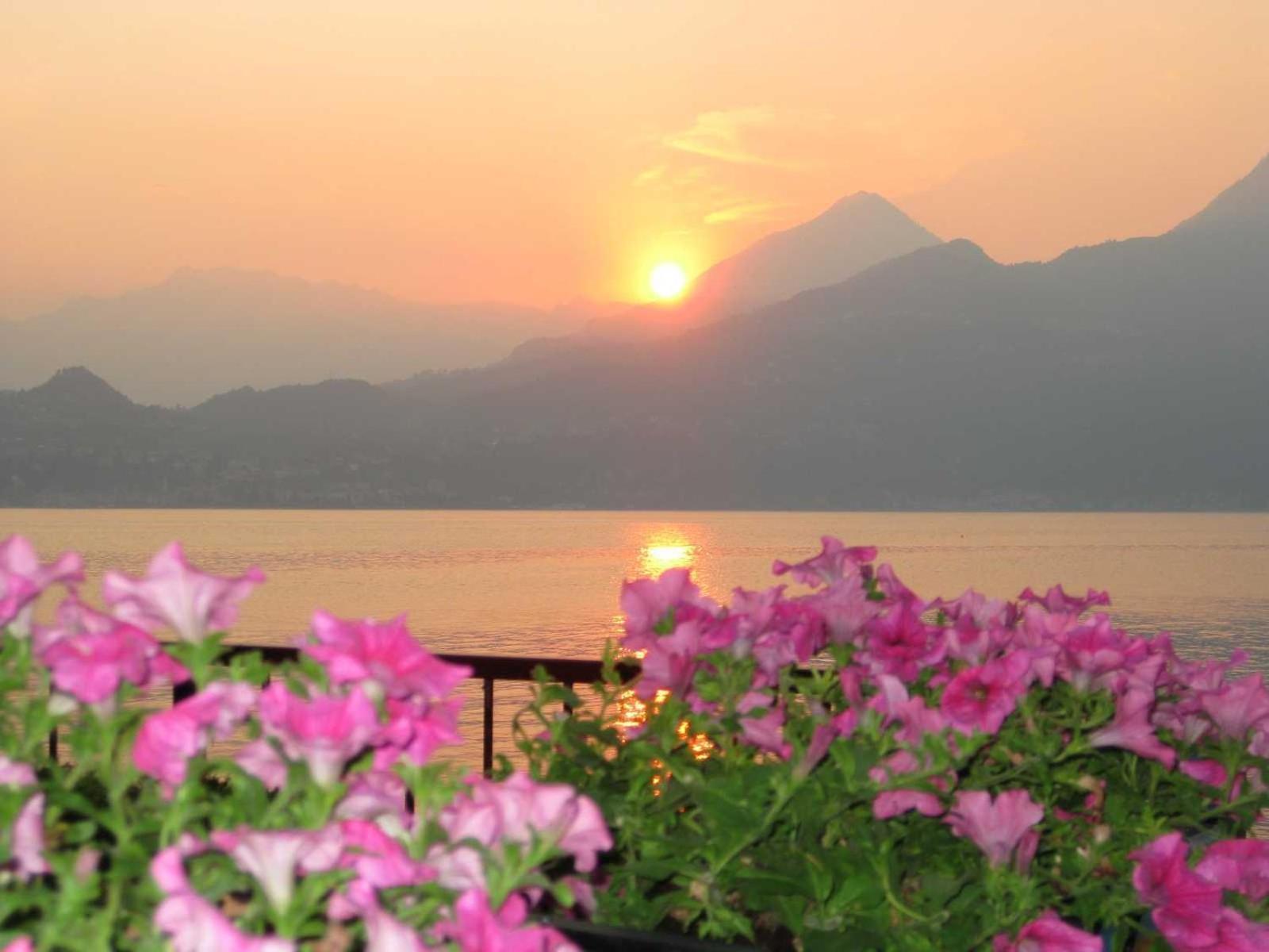 Divina Vita Apartments Varenna Eksteriør bilde